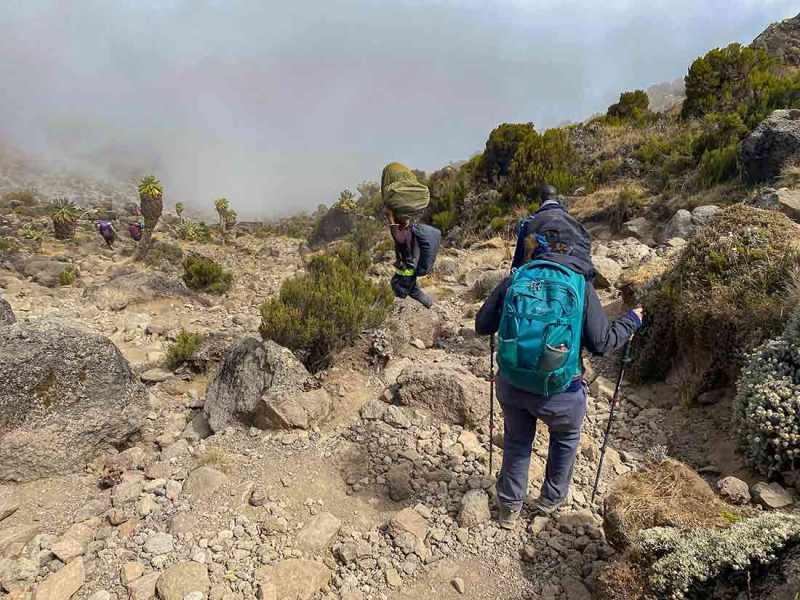 Should I Use Trekking Poles on Kilimanjaro?